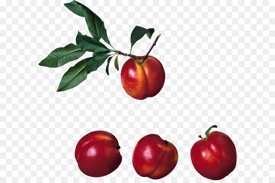 Nectarina，La Fruta PNG