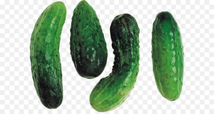 Pepinillos En Vinagre，Pepino PNG