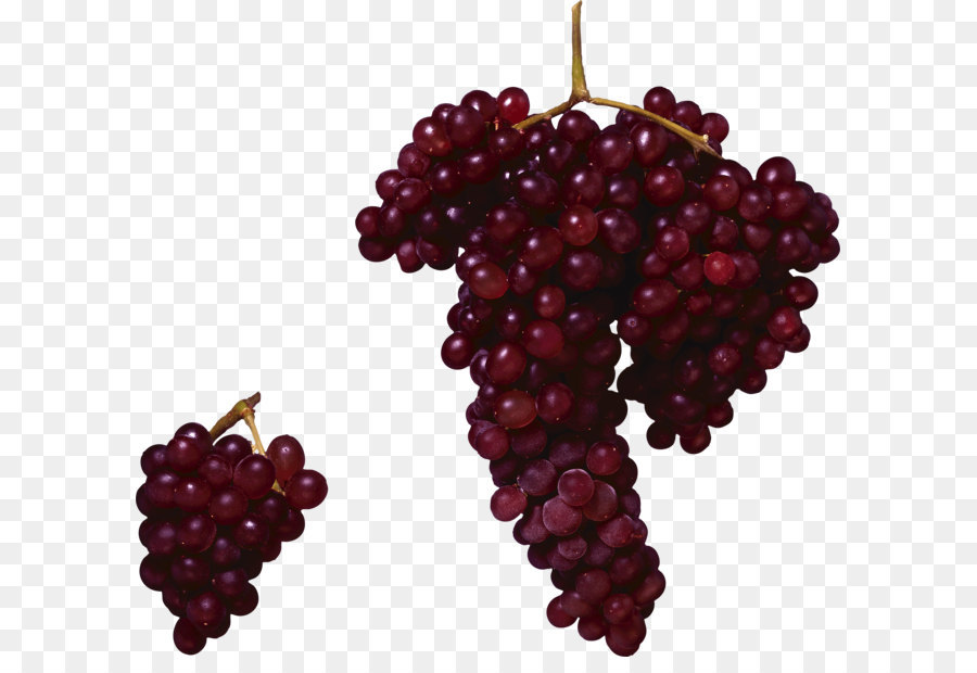 Vino Tinto，Común De Uva De La Vid PNG