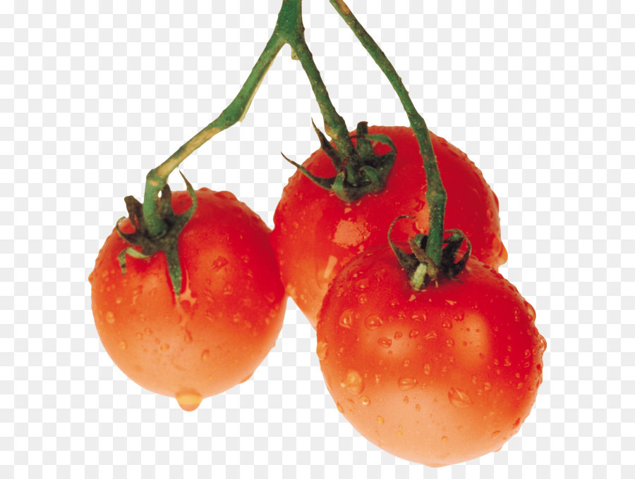 Tomate，Vegetal PNG