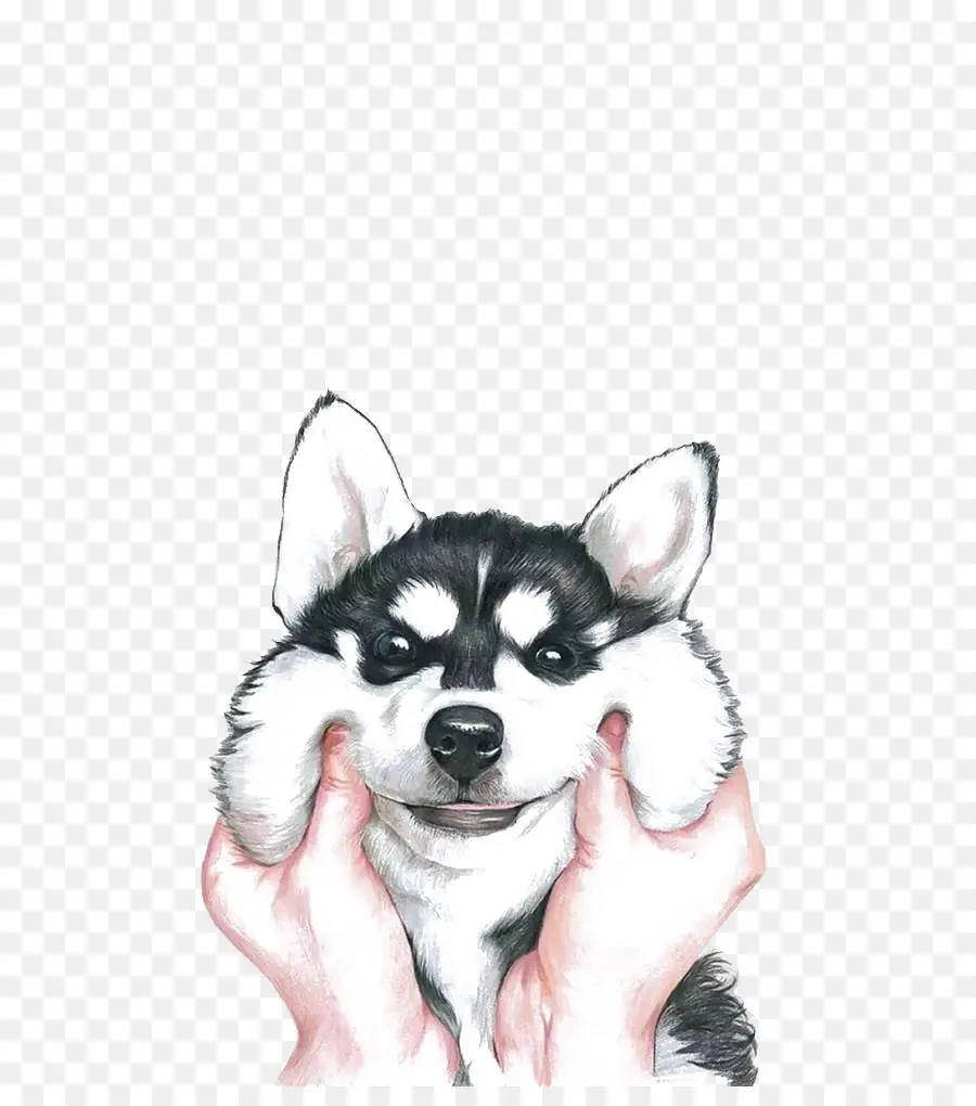 Perro，Lindo PNG