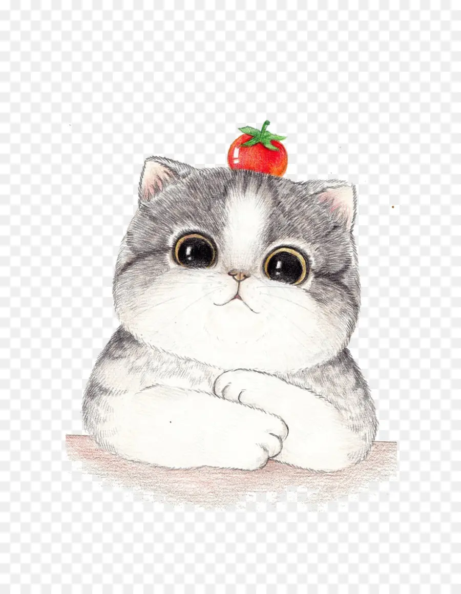 Lindo Gato Con Tomate，Gatito PNG