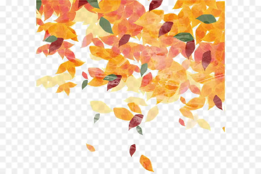 Hojas De Otoño，Hojas PNG