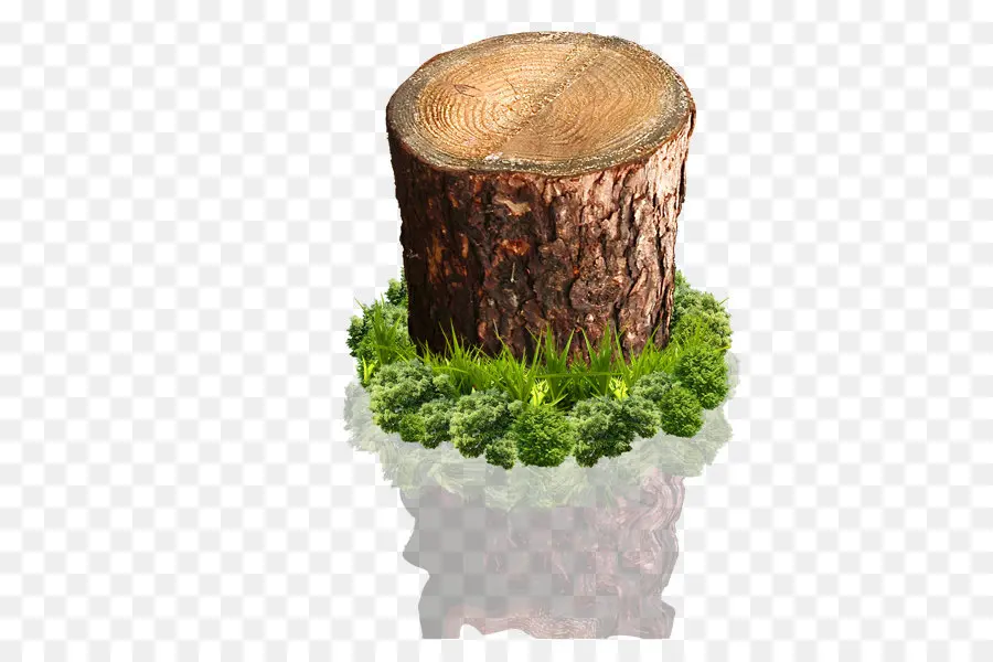 Tocón De árbol，Madera PNG