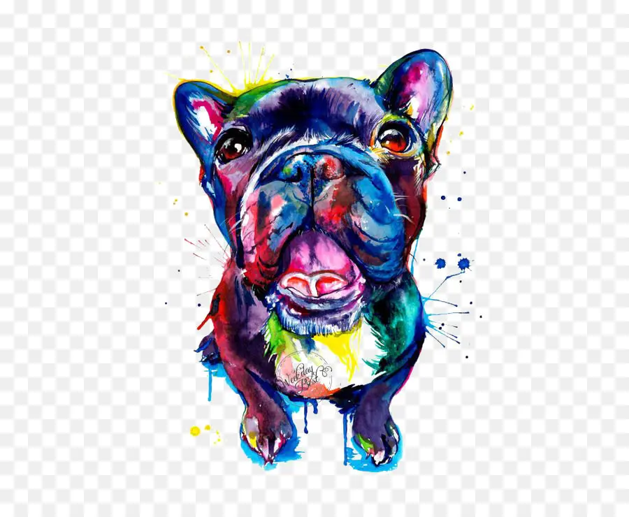 Bulldog Colorido，Acuarela PNG