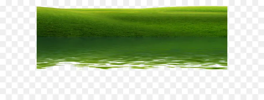 Paisaje Verde Con Agua，Verde PNG