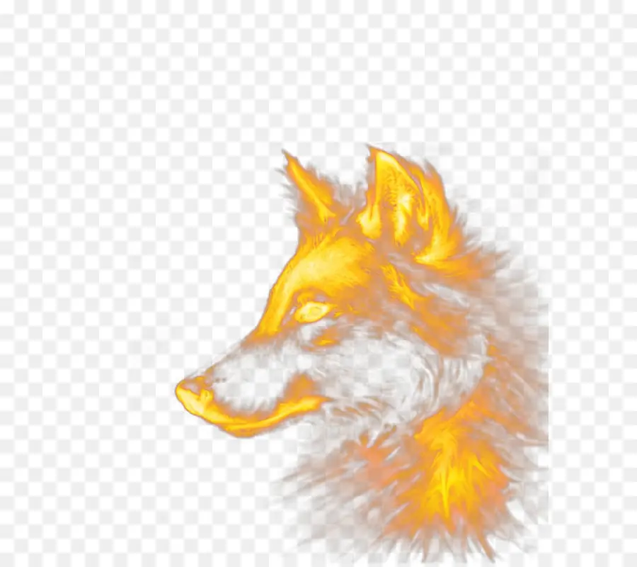 Lobo Ardiente，Fuego PNG