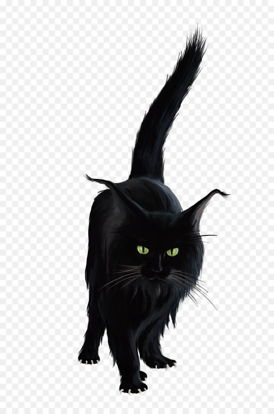 Gato Negro，Felino PNG