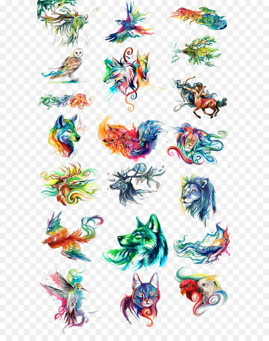 Animales Coloridos，Aves PNG