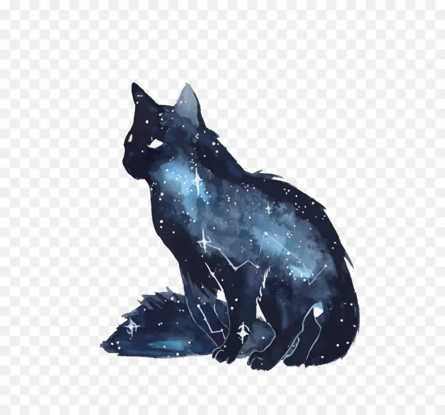 Gato，Gatito PNG