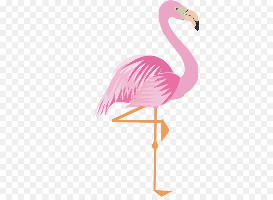 Flamingo，Mayor Flamingo PNG