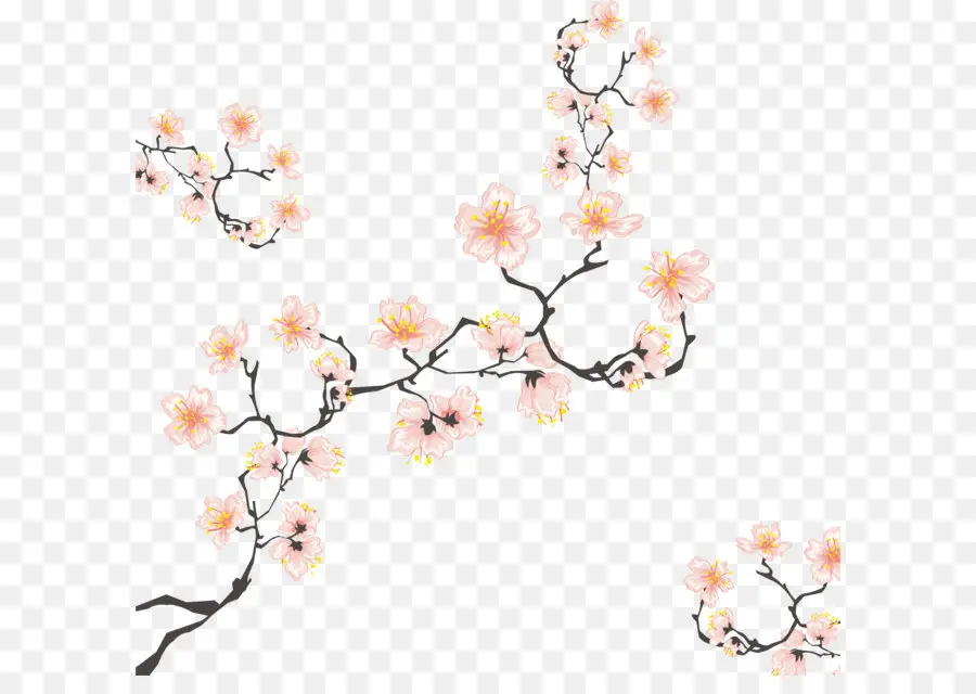 Los Cerezos En Flor，Cereza PNG