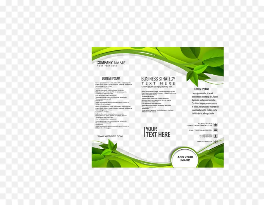 Folleto Comercial，Verde PNG