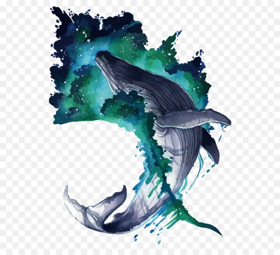 Ballena，Pintura De Acuarela PNG