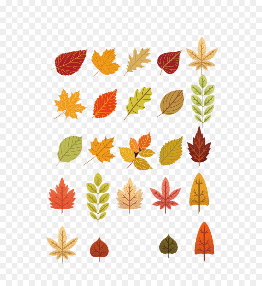 Hojas De Otoño，Caer PNG