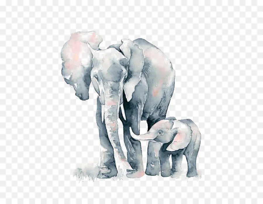 Elefante Africano，Elefante PNG