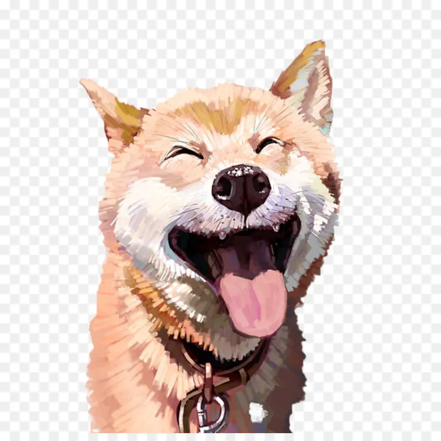 Tamaskan Perro，Shiba Inu PNG