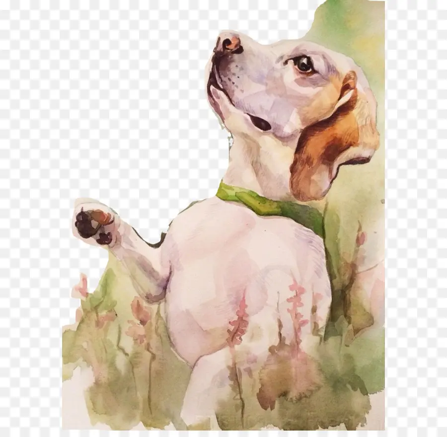 Perro，Gratis PNG