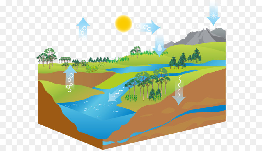 Ciclo Del Agua，Diagrama De PNG