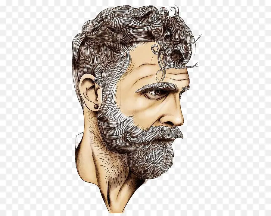 Hombre Barbudo，Cabello PNG