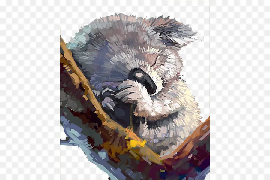 Koala，Acuarela Pintura PNG