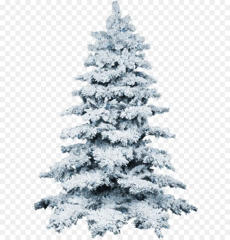 Árbol De Navidad Nevado，Invierno PNG