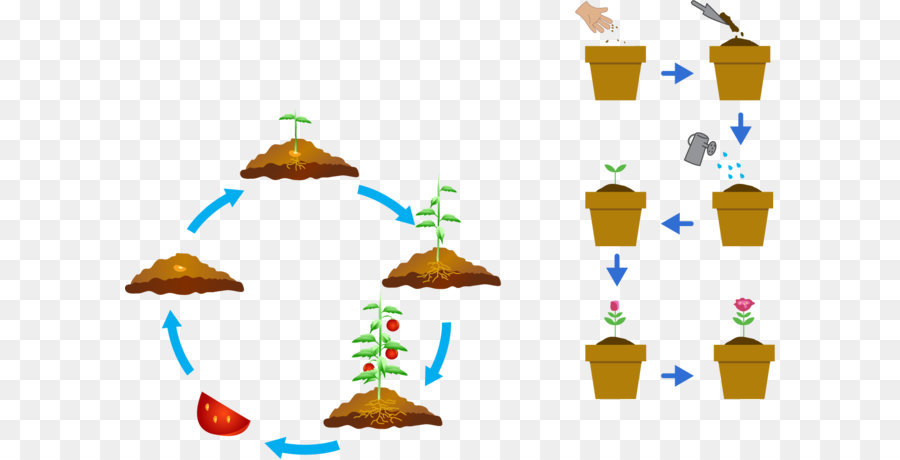 Planta，Encapsulado Postscript PNG