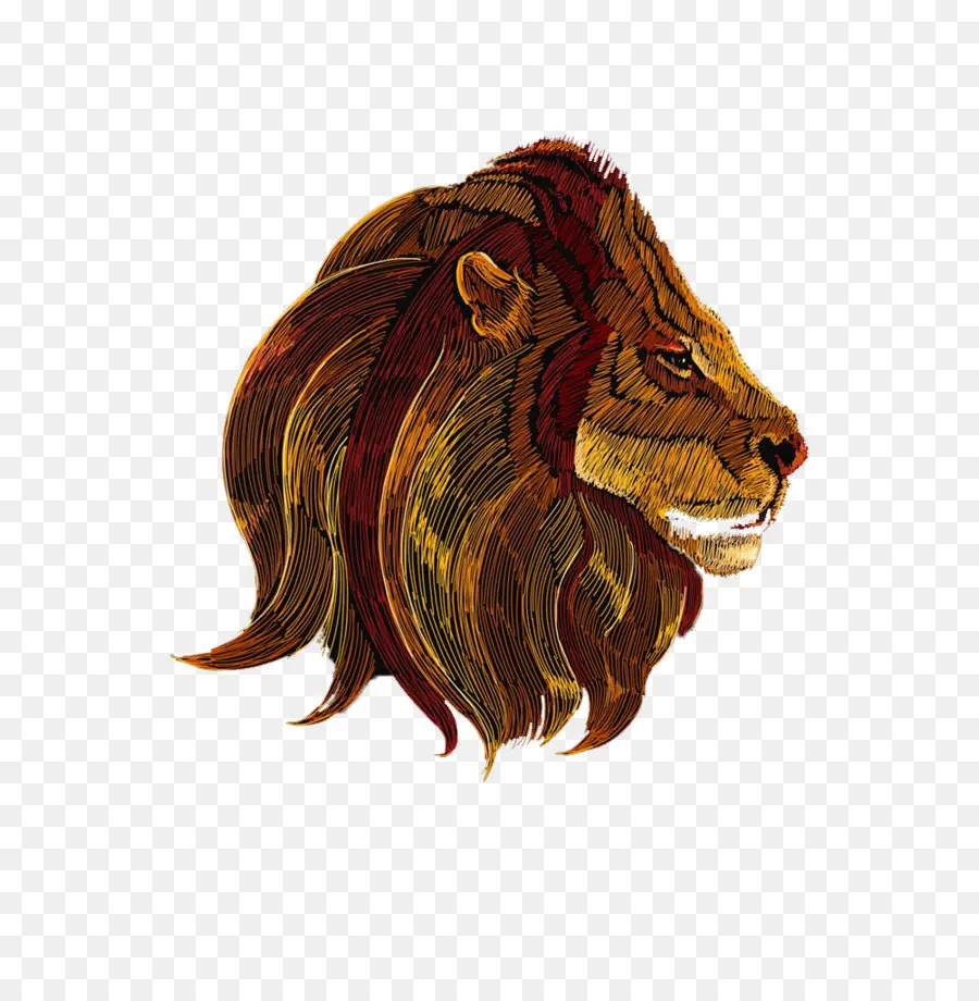 León，Acuarela Pintura PNG