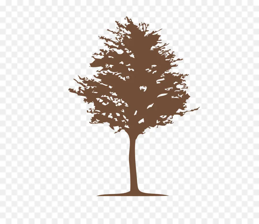 Silueta De Arbol，Naturaleza PNG