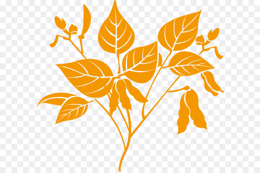 Planta，Hojas PNG