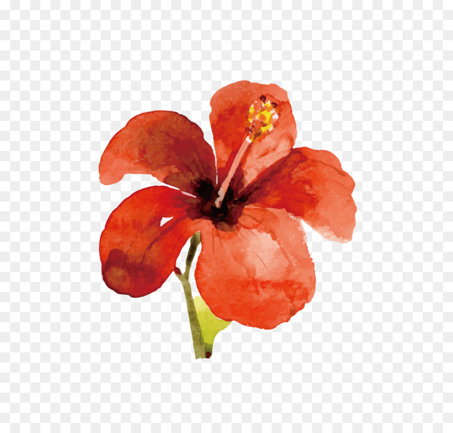 Iphone 7，Flor PNG