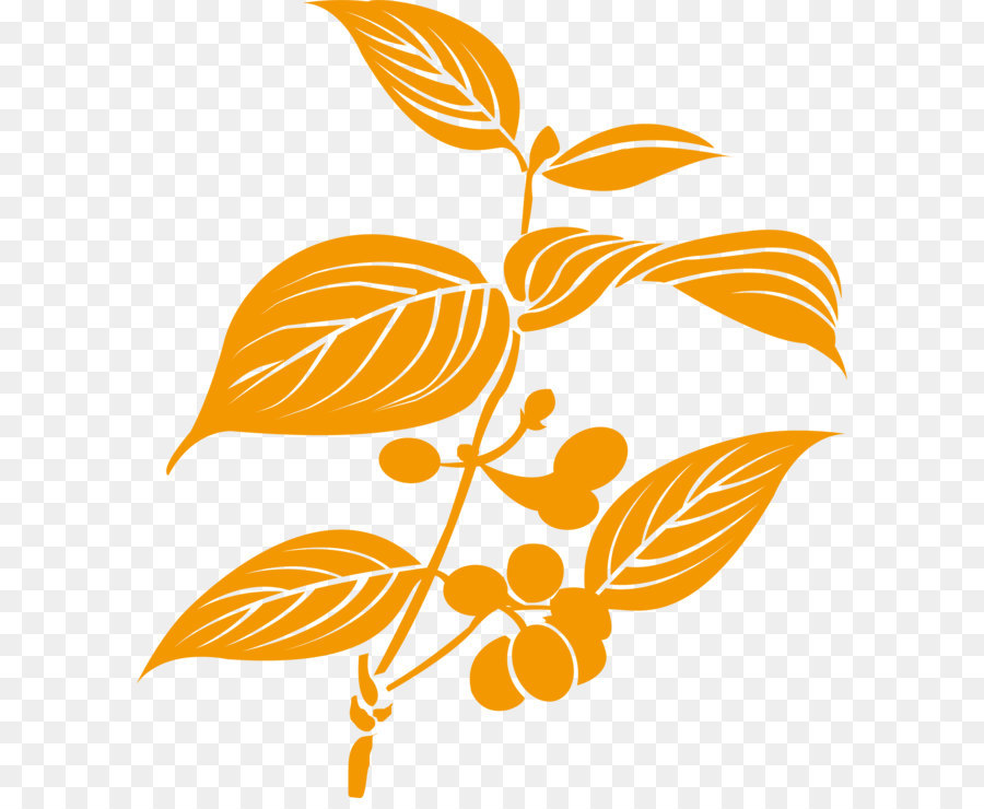 Planta，Hojas PNG