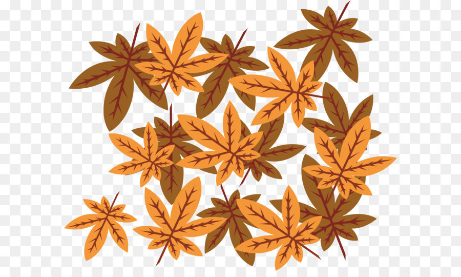 Hojas De Otoño，Hojas PNG