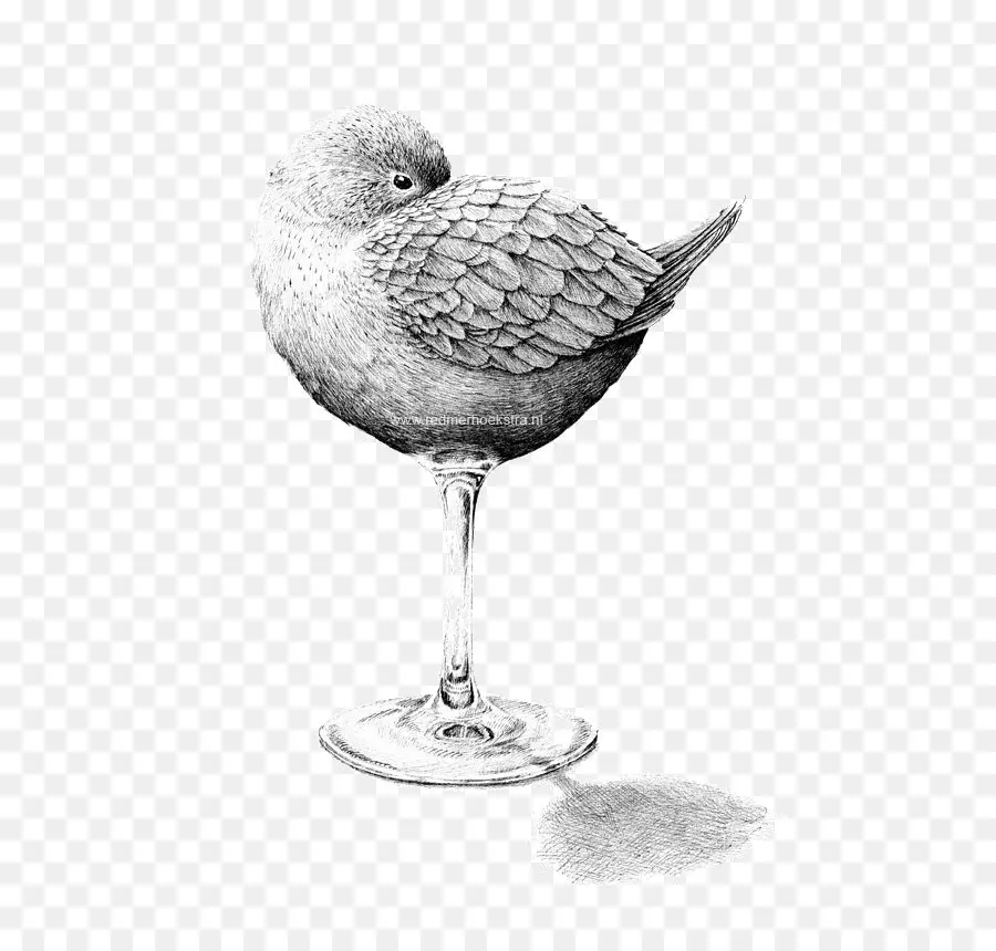 Pájaro En Vidrio，Vaso PNG