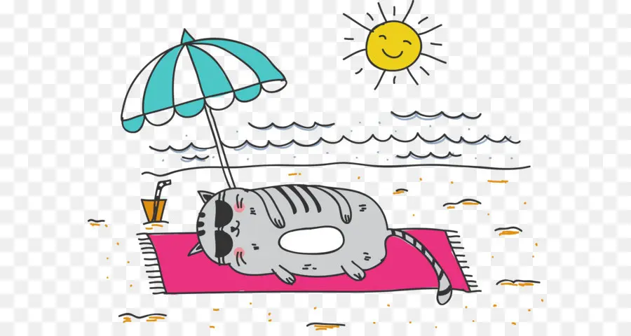 Gato En La Playa，Playa PNG