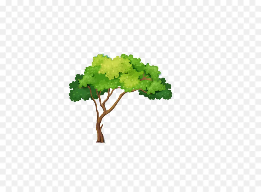 árbol De Dibujos Animados，Hojas Verdes PNG