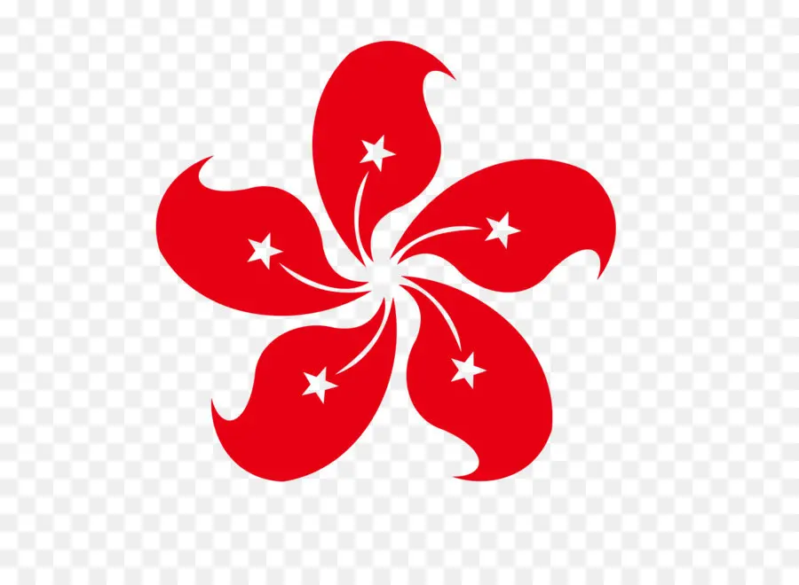 De Oro De La Bauhinia Cuadrado，La Transferencia De La Soberanía Sobre Hong Kong PNG