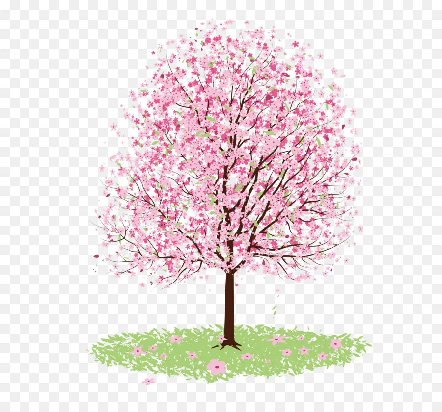 Los Cerezos En Flor，Dibujo PNG