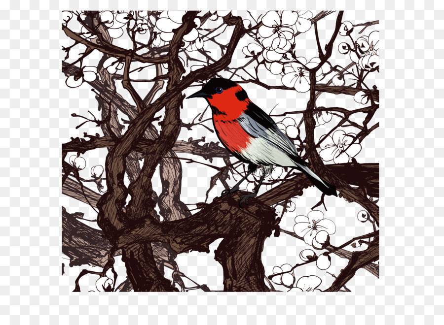 Pájaro，Árbol PNG