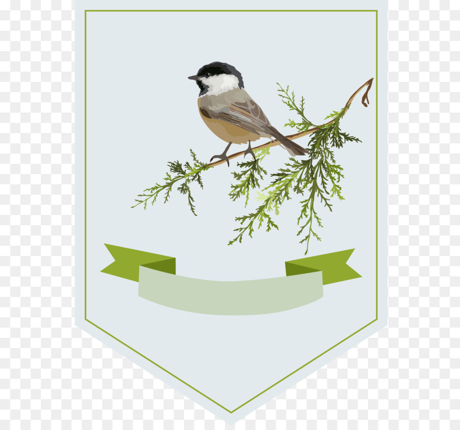 Aves，Gran Tit PNG