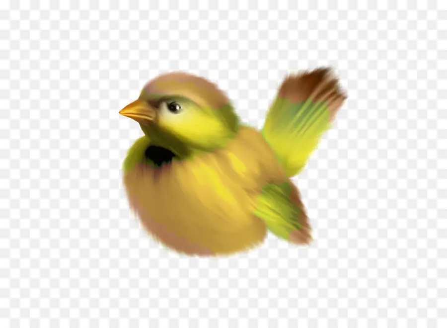 Pájaro，Amarillo PNG