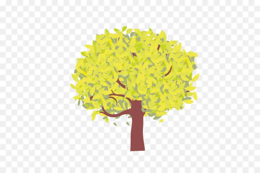 Árbol，Vector PNG