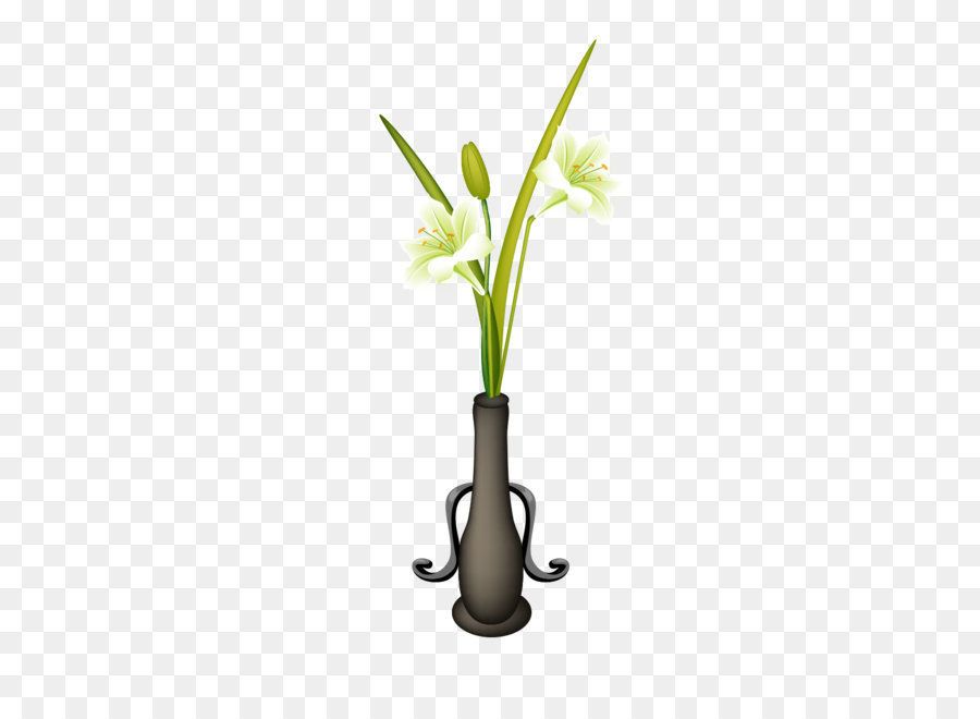 Planta，Árbol PNG