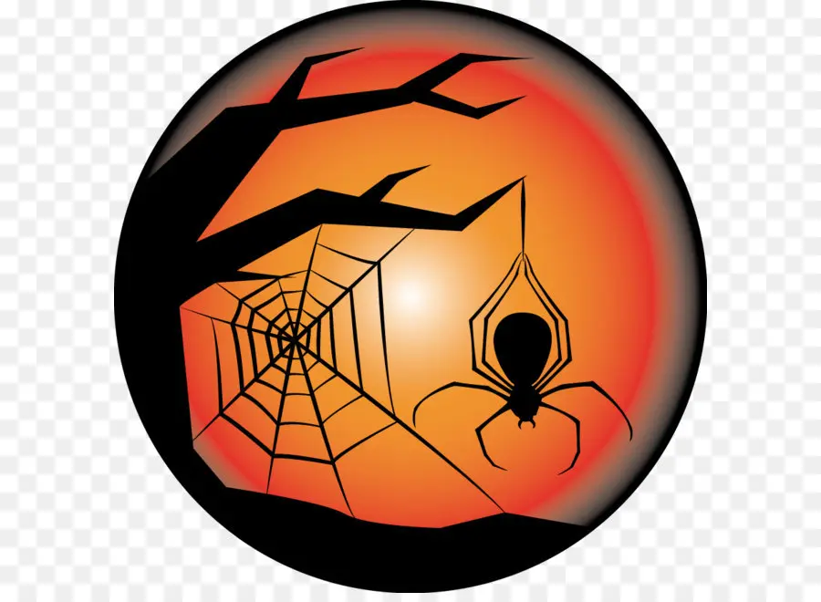 Araña Y Telaraña，Web PNG