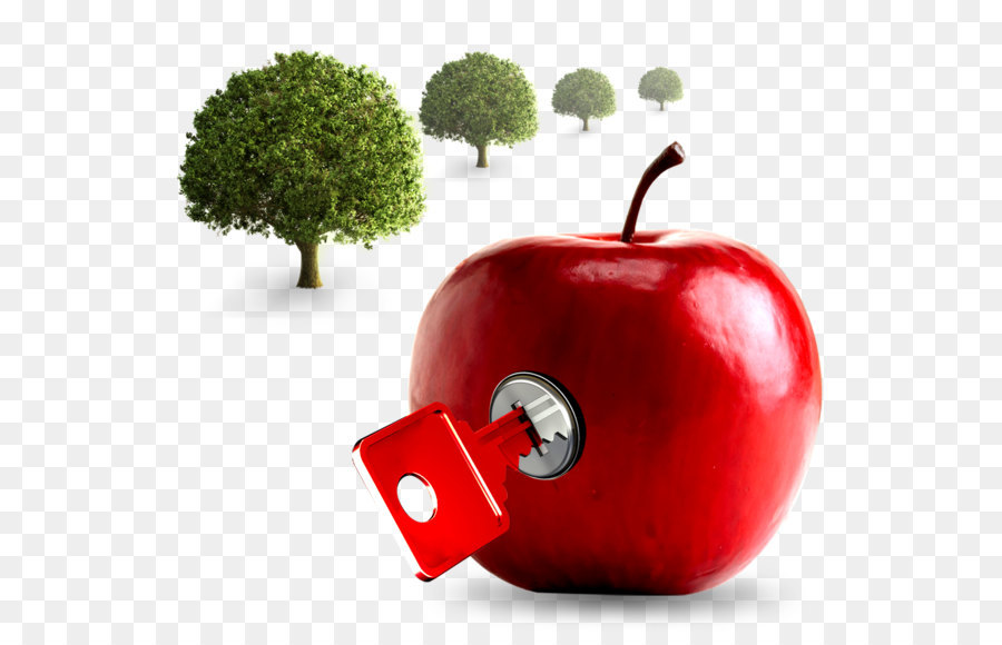 Manzana Con Llave，Árboles PNG