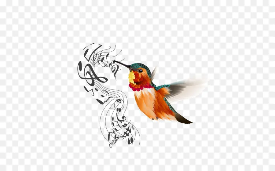 Pájaro，Colibrí PNG