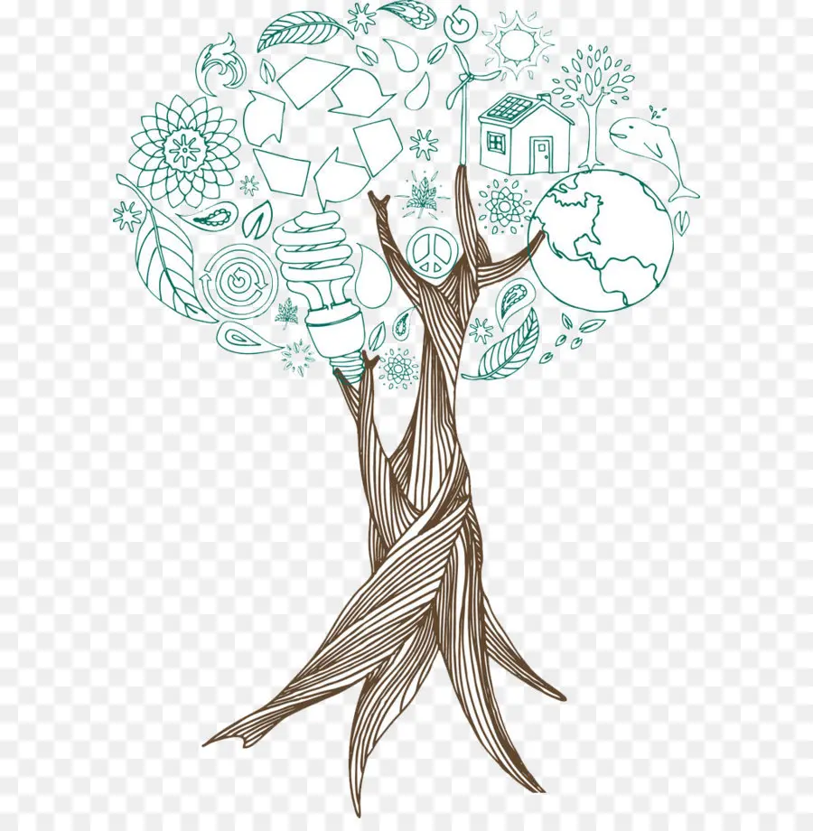 Árbol，Dibujo PNG