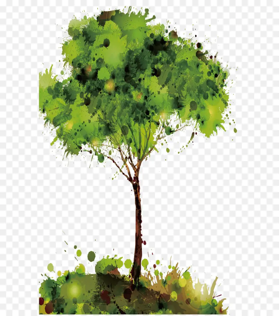 Árbol，Verde PNG