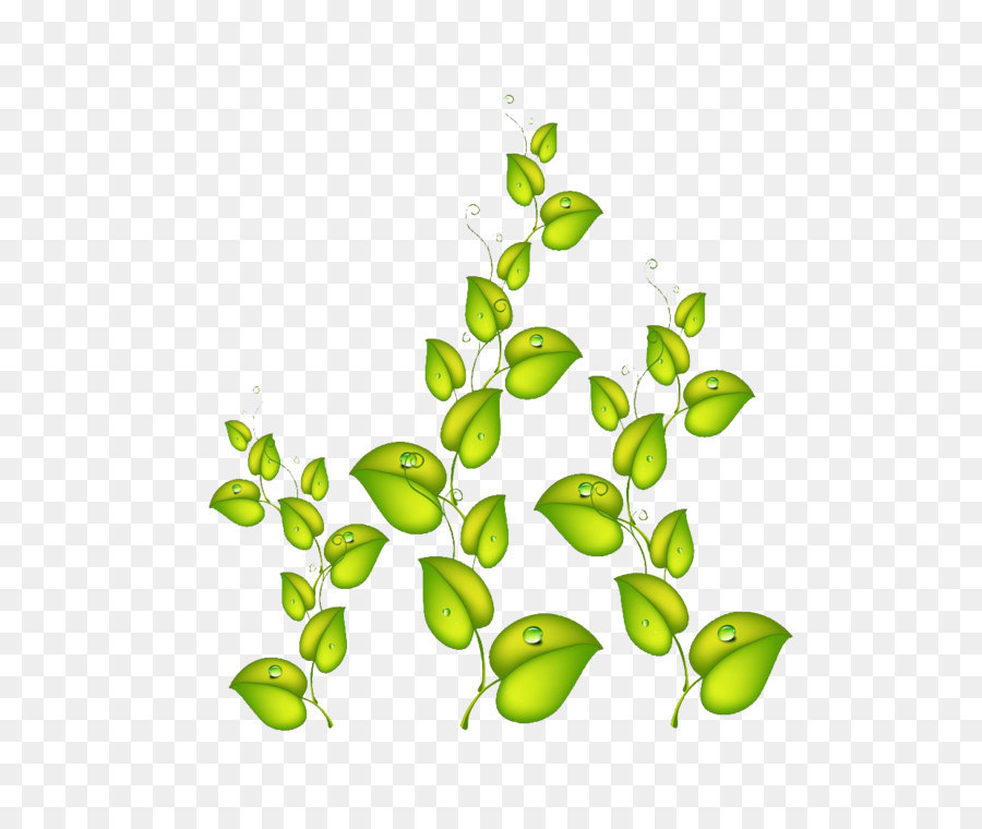 Hojas Verdes，Planta PNG