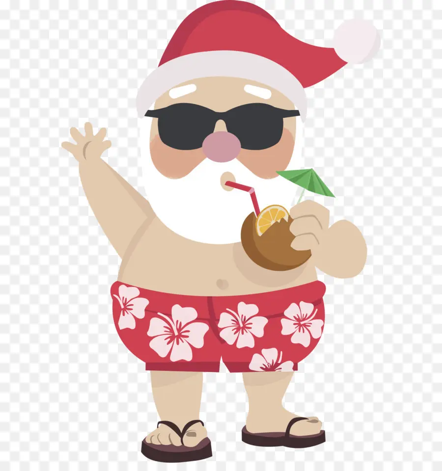 Santa Claus，La Señora Claus PNG